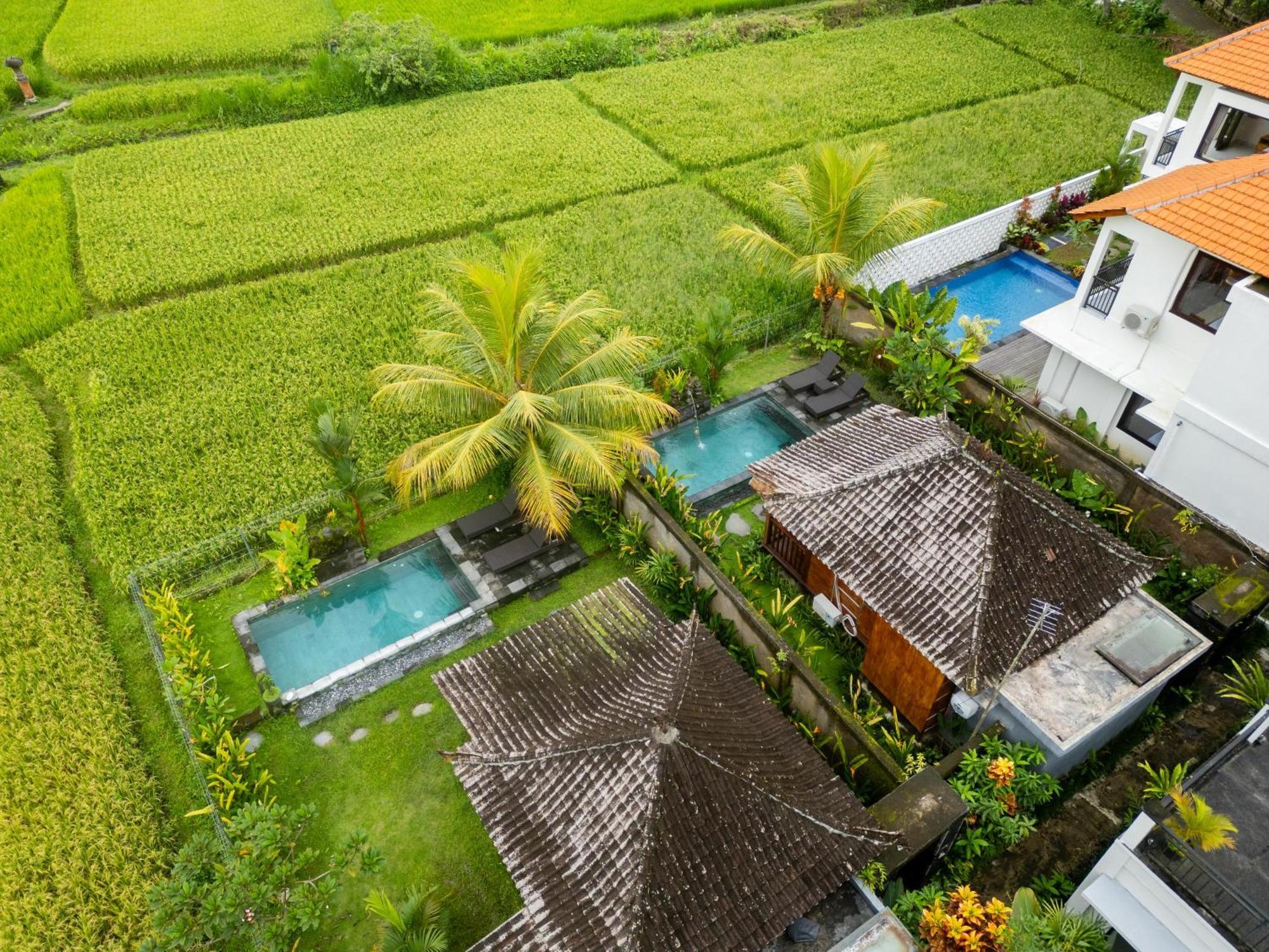 Mardika Private Villa Ubud Eksteriør bilde
